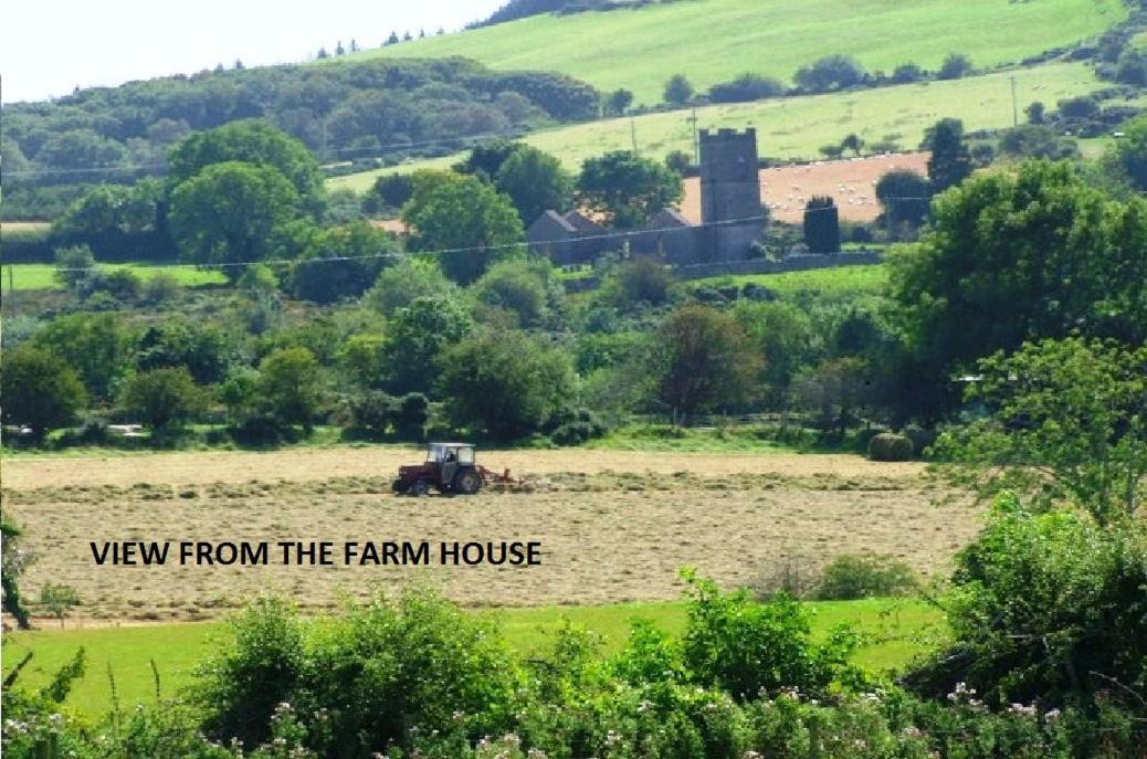 Wonderful Setting Farmhouse Apartment ウィックロー エクステリア 写真